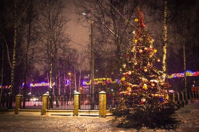 Новогодние Елки В Истре Новогодние Елки В Истре